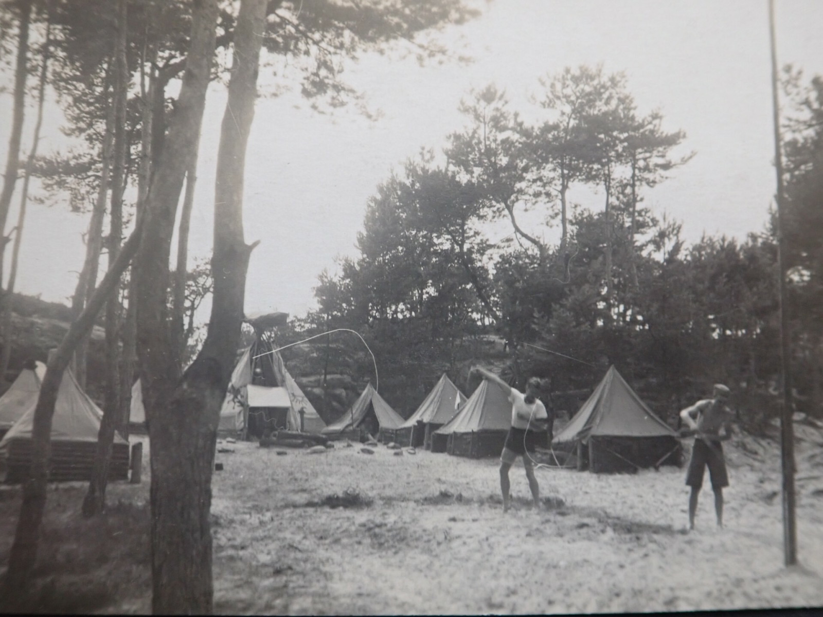 stedn Lesn kola, Nov Ves 1924. Za nae stedisko se zastnil br. S. Vesel-Weston. Vedoucm L byl znm cestovatel a skaut F.A. Elstner